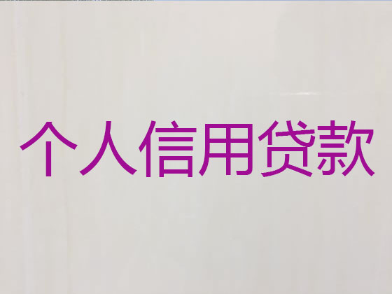 盐城贷款公司